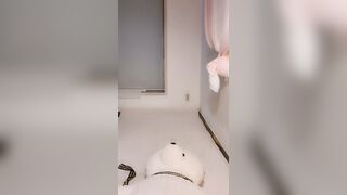 시연 팬방