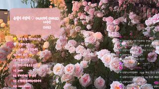 아름다운 한복과 그녀들 korean bj 3