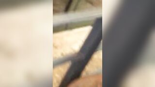 길거리 민폐커플 쇼츠 2
