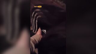 신작 ✨ 술 취한 여사친 앞에서 [고추까고 가슴만지기]