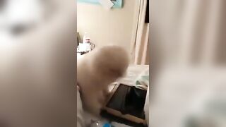 지읒 옛날 영상 모음 (14)