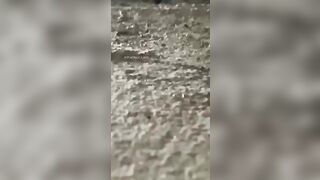 Xmm ride at void deck asian leak