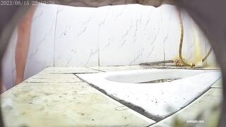 【厕拍】新流出多场景闯拍加近景前拍各种靓妹嫩穴尿尿53V[某房原版] china ipcam 3 (14)