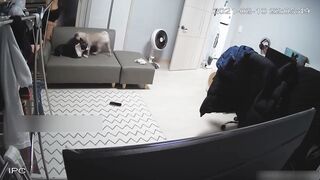 【破解摄像头】男生趁女友睡着后操了她的闺蜜。女友经常[某房原版] ipcam