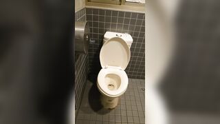 TW巅峰厕拍✅冒死闯入女神私密空间偷拍文青女孩，气质人妻，学生小妹入厕 ipcam (9)