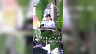 つややかな黒髪、美人なお姉さん　清楚な白パンティを覗き見 ipcam