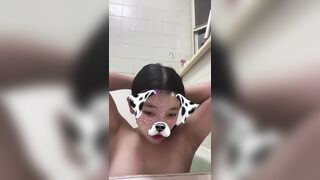 일 강아지필터 샤워 라방