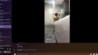 디코 몸캠 korean porn (12)