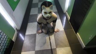 주인님 제발 좆밥 좀 주세요 korean porn vip