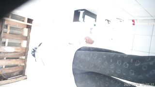 【トイレカメラ】究極の映像体験を実現する高画質アップグレードカメラ（1） toilet (5)