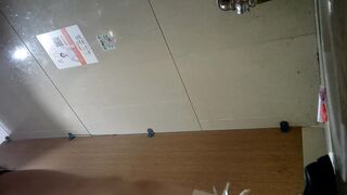 パノラマ正面ビュー：白いストッキングの毛深い美女 (5V) toilet 03