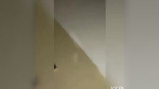 【無】素人 #195 jvip 02