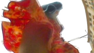 Upskirt 276 ipcam 120526 13