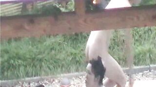 絶景温泉旅館!! 秘境の露天風呂盗撮 31-35 voyeur jp 130526 01