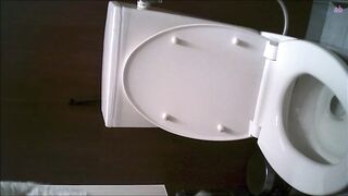 digi-tents 女子トイレ盗撮299-301 voyeur jp 160526