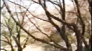 《期間限定》廃盤 Mei_2 voyeur jp 170526