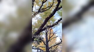 Kuzu 모자이크제거본 입니다 jvip